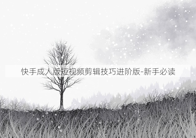 快手成人版短视频剪辑技巧进阶版-新手必读