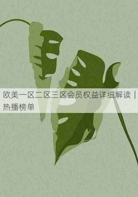 欧美一区二区三区会员权益详细解读|热播榜单