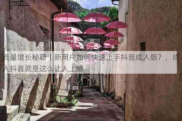 流量增长秘籍|新用户如何快速上手抖音成人版?,成人抖音就是这么让人上瘾