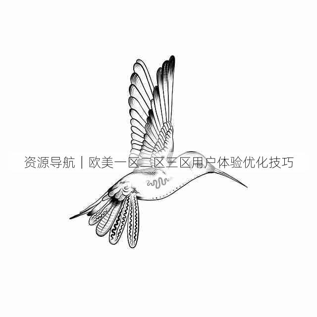 资源导航|欧美一区二区三区用户体验优化技巧