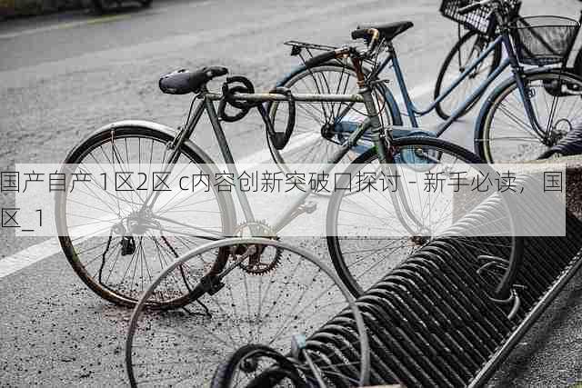 国产自产 1区2区 c内容创新突破口探讨 - 新手必读,国产区_1