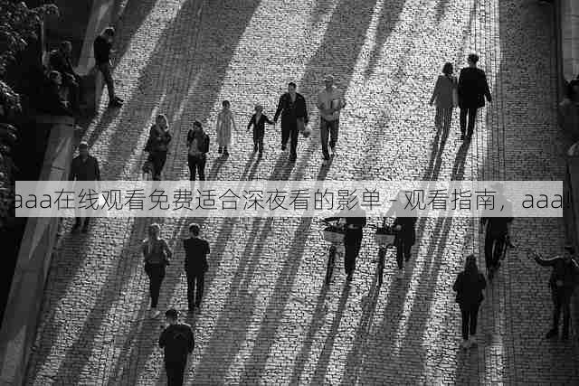 aaa在线观看免费适合深夜看的影单 - 观看指南,aaa!