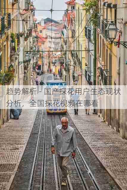 趋势解析 - 国产探花用户生态现状分析,全国探花视频在哪看