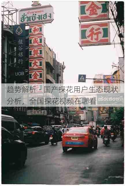 趋势解析 - 国产探花用户生态现状分析,全国探花视频在哪看