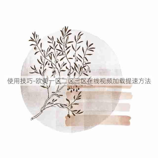 使用技巧-欧美一区二区三区在线视频加载提速方法