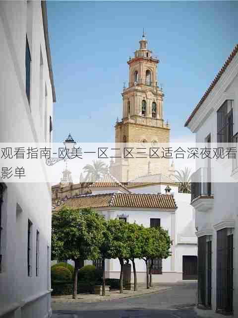 观看指南-欧美一区二区三区适合深夜观看影单