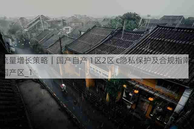 流量增长策略|国产自产 1区2区 c隐私保护及合规指南,国产区_1