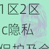 流量增长策略|国产自产 1区2区 c隐私保护及合规指南,国产区_1