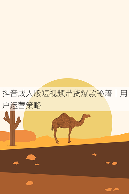 抖音成人版短视频带货爆款秘籍|用户运营策略