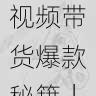 抖音成人版短视频带货爆款秘籍|用户运营策略