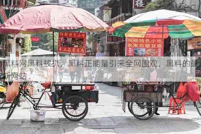 黑料网黑料被扒,黑料正能量引来全网围观,黑料的最新网站
