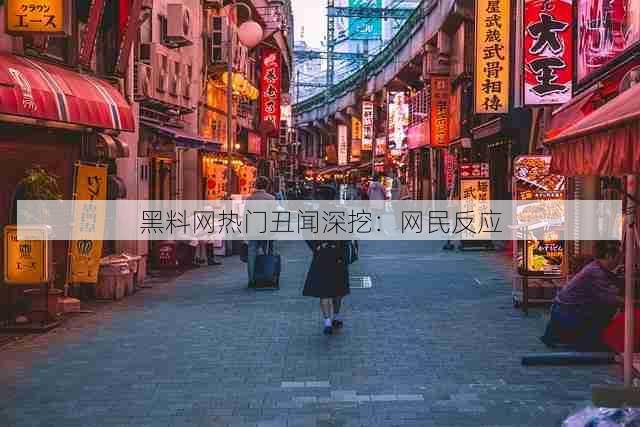 黑料网热门丑闻深挖:网民反应