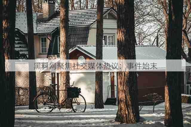 黑料网聚焦社交媒体热议:事件始末