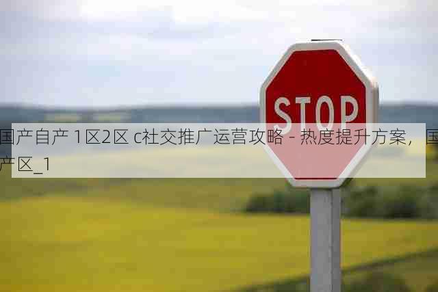 国产自产 1区2区 c社交推广运营攻略 - 热度提升方案,国产区_1
