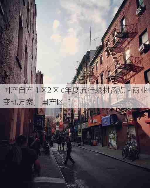 国产自产 1区2区 c年度流行题材盘点 - 商业变现方案,国产区_1
