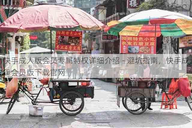 快手成人版会员专属特权详细介绍 - 避坑指南,快手成年会员版下载官网
