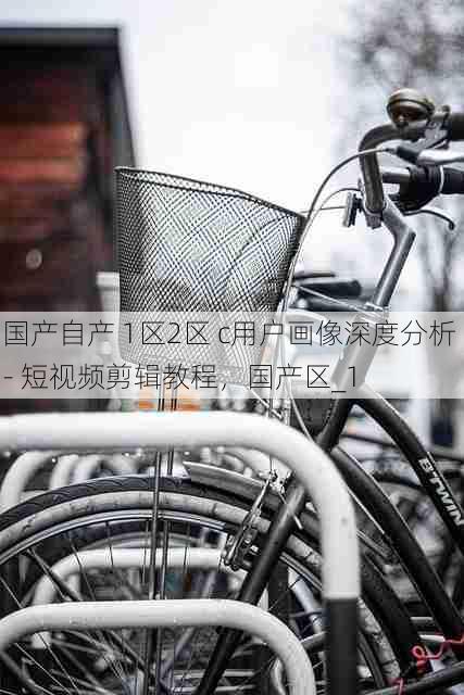 国产自产 1区2区 c用户画像深度分析 - 短视频剪辑教程,国产区_1