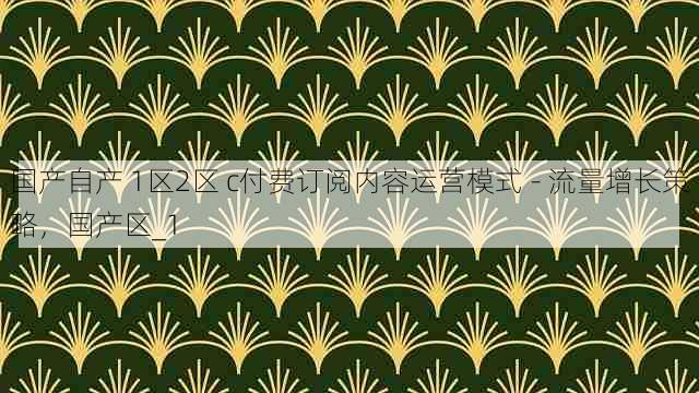 国产自产 1区2区 c付费订阅内容运营模式 - 流量增长策略,国产区_1