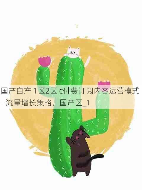 国产自产 1区2区 c付费订阅内容运营模式 - 流量增长策略,国产区_1