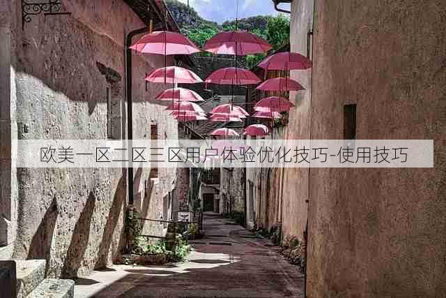 欧美一区二区三区用户体验优化技巧-使用技巧