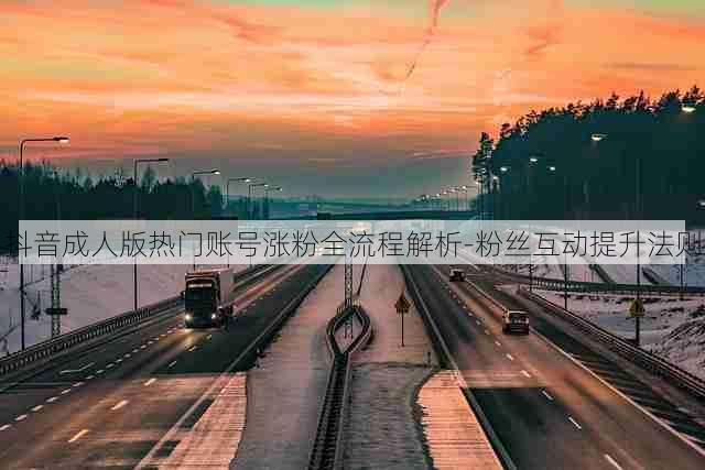 抖音成人版热门账号涨粉全流程解析-粉丝互动提升法则