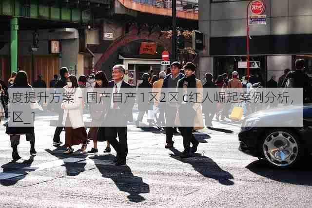 热度提升方案 - 国产自产 1区2区 c红人崛起案例分析,国产区_1