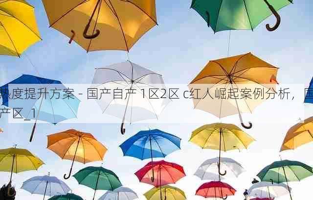 热度提升方案 - 国产自产 1区2区 c红人崛起案例分析,国产区_1