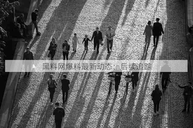 黑料网爆料最新动态:后续追踪