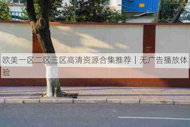欧美一区二区三区高清资源合集推荐|无广告播放体验
