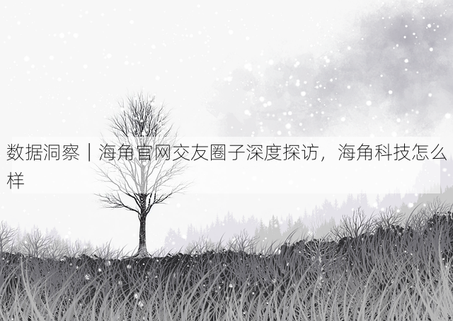 数据洞察|海角官网交友圈子深度探访,海角科技怎么样