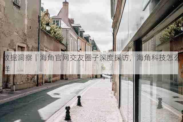 数据洞察|海角官网交友圈子深度探访,海角科技怎么样