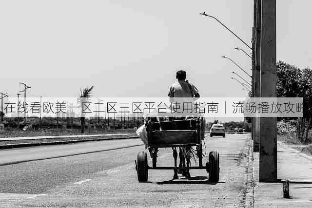 在线看欧美一区二区三区平台使用指南|流畅播放攻略