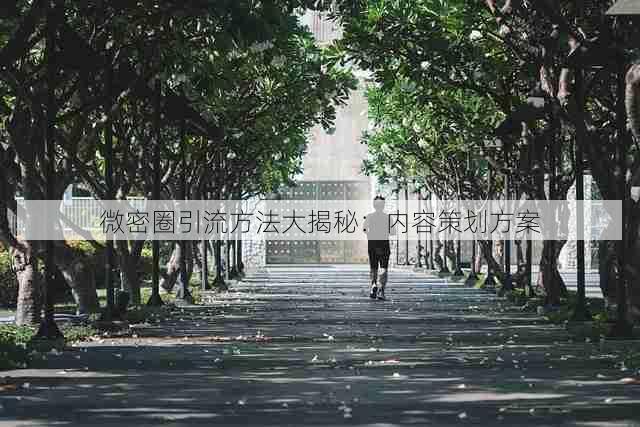 微密圈引流方法大揭秘:内容策划方案