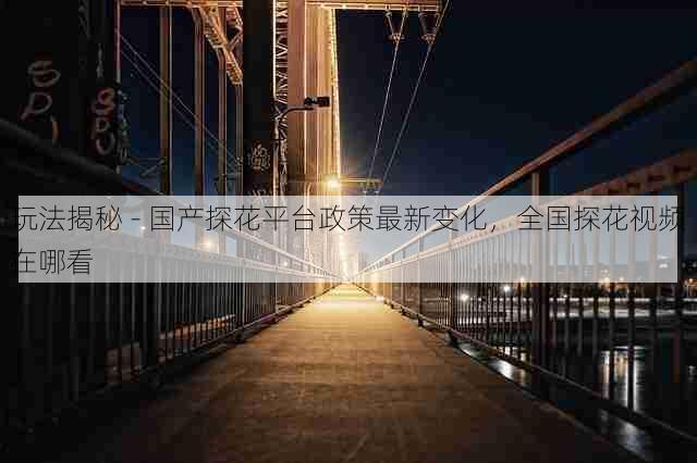 玩法揭秘 - 国产探花平台政策最新变化，全国探花视频在哪看