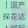 官方规则解读|国产探花达人崛起路径解析