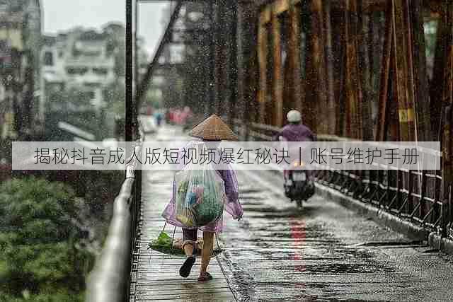 揭秘抖音成人版短视频爆红秘诀|账号维护手册