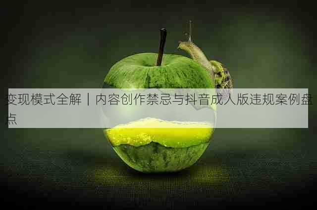 变现模式全解｜内容创作禁忌与抖音成人版违规案例盘点