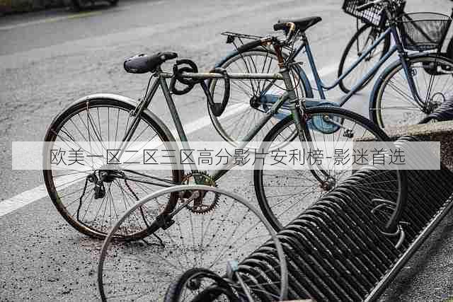 欧美一区二区三区高分影片安利榜-影迷首选