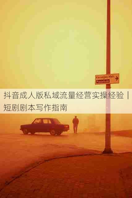 抖音成人版私域流量经营实操经验|短剧剧本写作指南