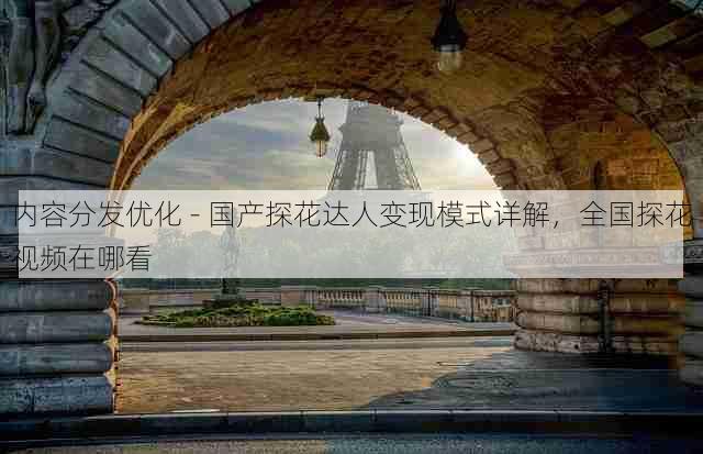 内容分发优化 - 国产探花达人变现模式详解,全国探花视频在哪看