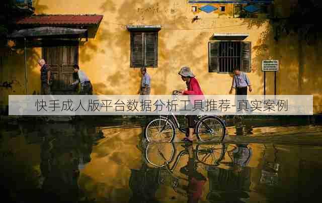 快手成人版平台数据分析工具推荐-真实案例
