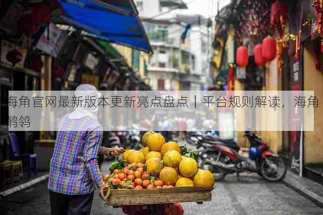 海角官网最新版本更新亮点盘点|平台规则解读,海角鹡鸰