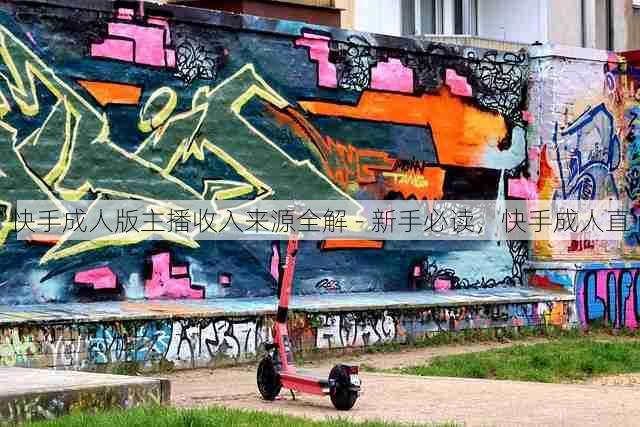 快手成人版主播收入来源全解 - 新手必读,快手成人直