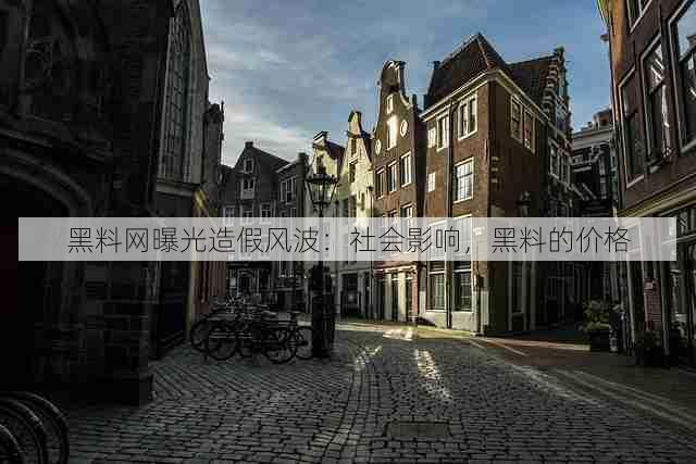 黑料网曝光造假风波:社会影响,黑料的价格