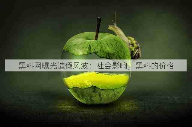 黑料网曝光造假风波:社会影响,黑料的价格