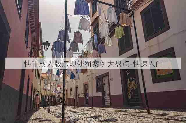 快手成人版违规处罚案例大盘点-快速入门